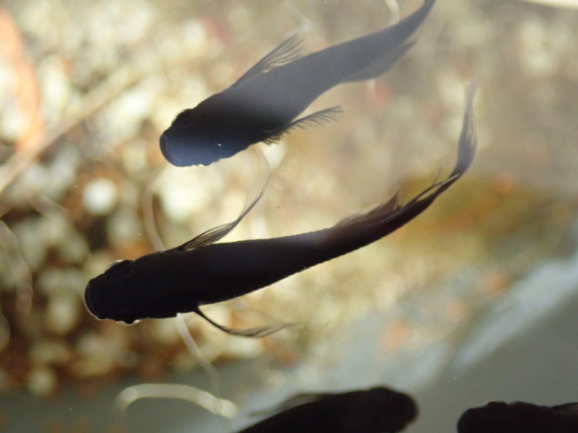 AdobeStock_81300555