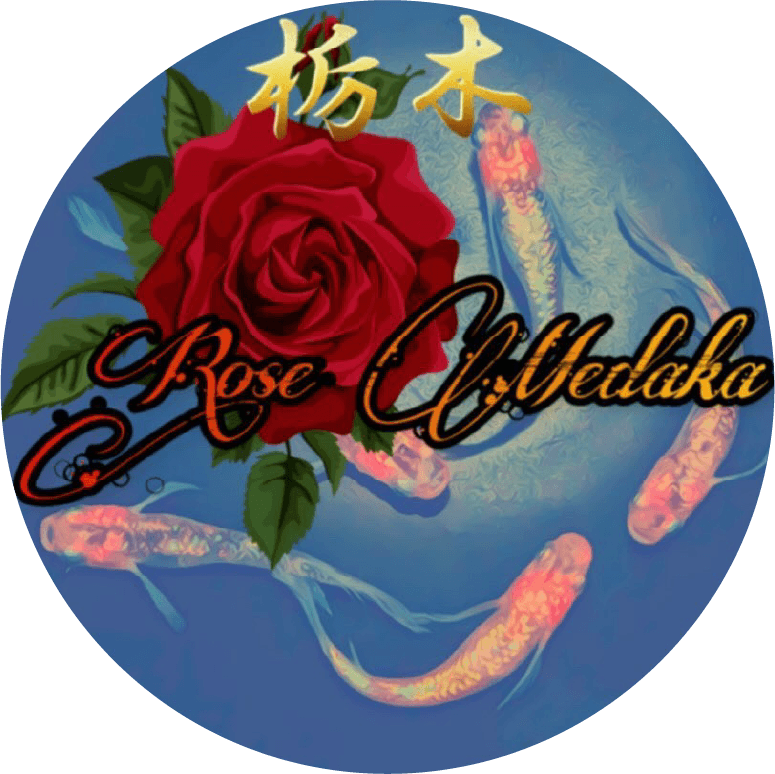 Rose Medaka