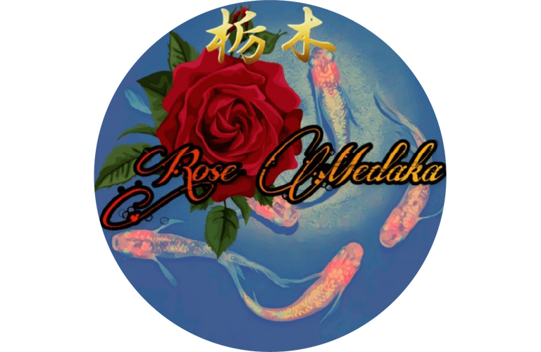 Rose Medaka